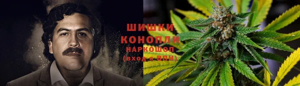 стафф Вязьма