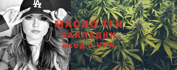 хмурый Тавда