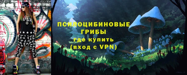 стафф Вязьма