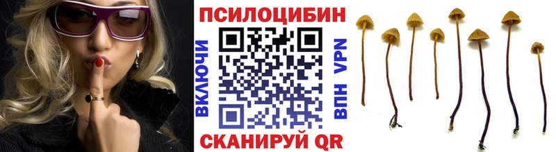 площадка официальный сайт  Камбарка  Галлюциногенные грибы Magic Shrooms  hydra ссылка 